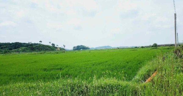 충청남도 당진시 송산면 당산리 OOOOOO 염전 경매 물건 이미지