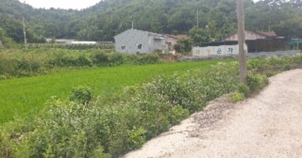 전라남도 보성군 문덕면 운곡리 OOOOO 답 경매 물건 이미지