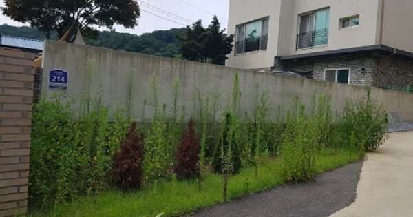 경기 광주시 능평동 OOOOOO 단독주택 경매 물건 이미지