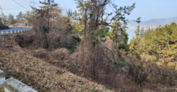 전라남도 여수시 화정면 낭도리 OOOOOO 임야 경매 물건 이미지