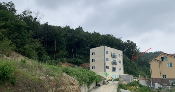 경기도 화성시 정남면 고지리 OOOOOO 임야 경매 물건 이미지