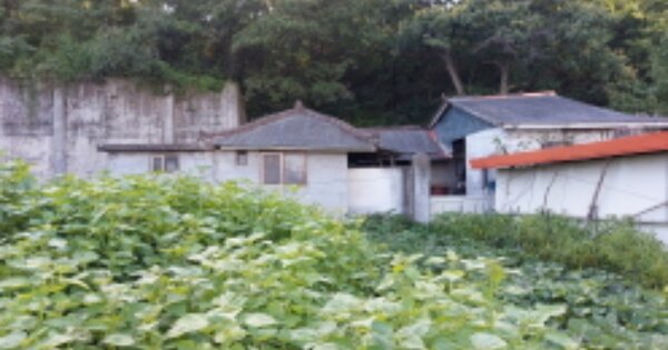 경기 파주시 파주읍 파주리 OOOOO 단독주택 경매 물건 이미지