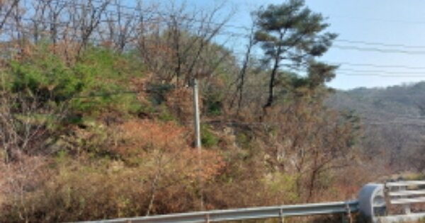 경기도 파주시 적성면 설마리 OOOOO 임야 경매 물건 이미지