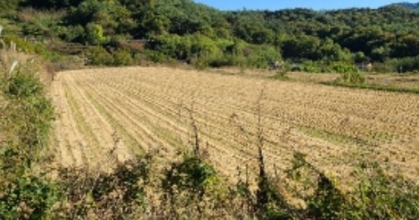 전라남도 곡성군 죽곡면 삼태리 OOOOO 답 경매 물건 이미지