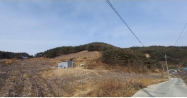 경상북도 안동시 길안면 백자리 OOOO 임야 경매 물건 이미지
