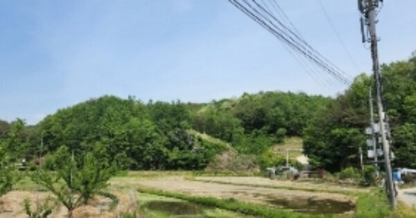 경상북도 안동시 녹전면 죽송리 OOO 임야 경매 물건 이미지