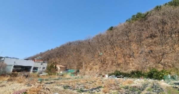 경상남도 창원시 마산회원구 내서읍 호계리 OOOO 임야 경매 물건 이미지