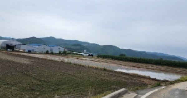 경상북도 안동시 길안면 천지리 OOO 답 경매 물건 이미지