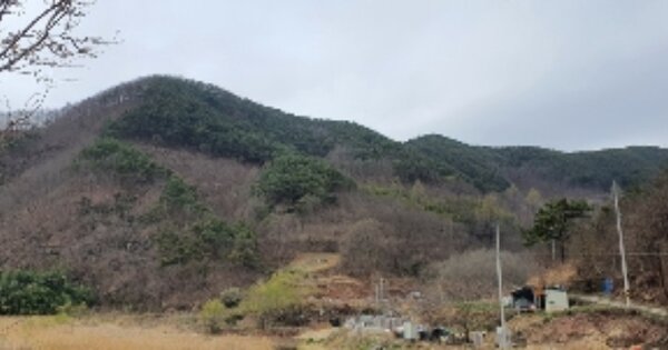 경상남도 의령군 화정면 상정리 OOOO 전 경매 물건 이미지