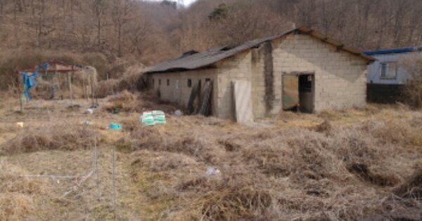 경상북도 영천시 고경면 파계리 OOO O OOO 동물 및 식물 관련시설 경매 물건 이미지