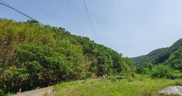 경상남도 의령군 지정면 득소리 OOO 전 경매 물건 이미지