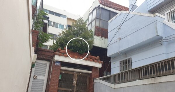 부산 사하구 감천동 OOOOO 다가구주택 경매 물건 이미지