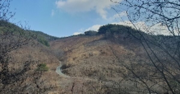 경상남도 의령군 대의면 천곡리 OOO 임야 경매 물건 이미지