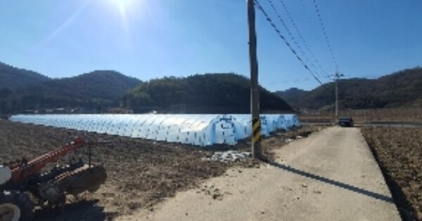 경상남도 의령군 지정면 유곡리 OOO 답 경매 물건 이미지