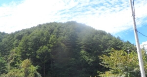 강원도 평창군 진부면 척천리 OOO 임야 경매 물건 이미지