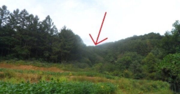 강원도 영월군 주천면 신일리 OOOO 전 경매 물건 이미지
