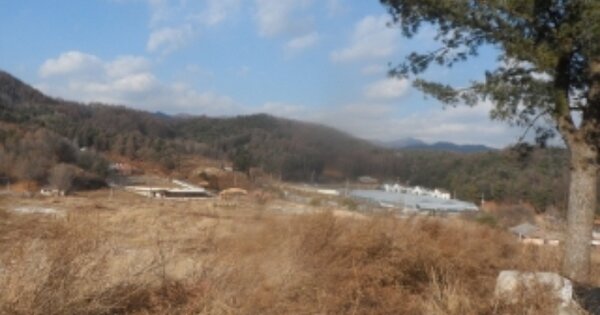 강원도 평창군 봉평면 창동리 OOOOOO 임야 경매 물건 이미지