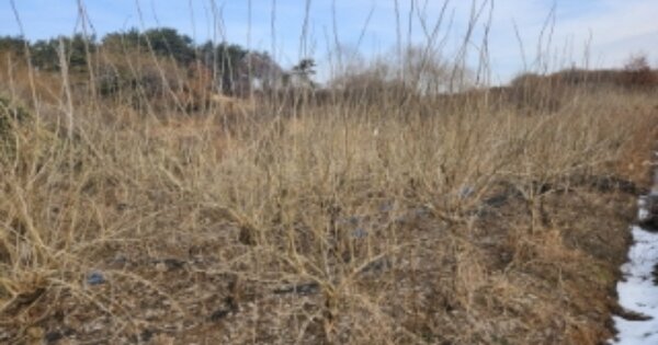 전라북도 고창군 흥덕면 교운리 OOOO O OOO 전 경매 물건 이미지