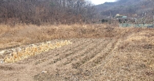 충청북도 옥천군 이원면 윤정리 OOO 답 경매 물건 이미지