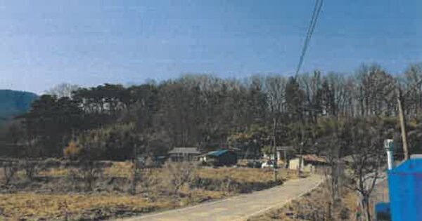 충청북도 옥천군 이원면 윤정리 OOOOO 임야 경매 물건 이미지