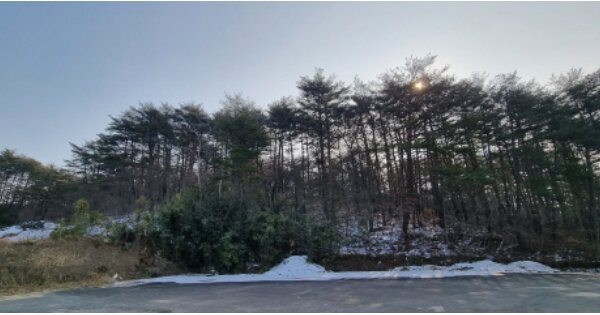강원도 고성군 거진읍 대대리 OOOOO 임야 경매 물건 이미지