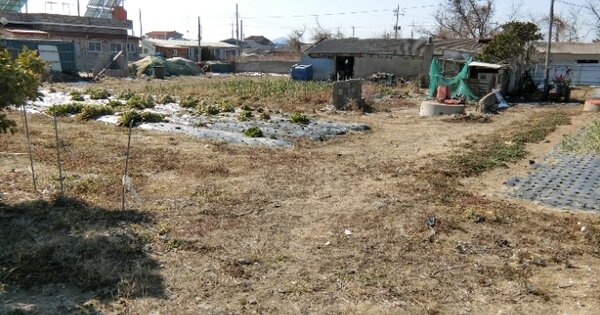 전라남도 신안군 임자면 도찬리 OOOO 임야 경매 물건 이미지