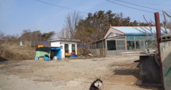 전라북도 김제시 용지면 용수리 OO 대지 경매 물건 이미지