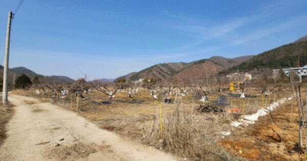 전라북도 완주군 상관면 죽림리 OOO 답 경매 물건 이미지