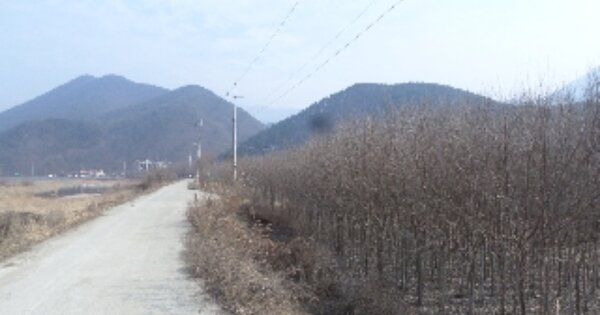 전라북도 완주군 운주면 장선리 OOOOO O OOO 답 경매 물건 이미지