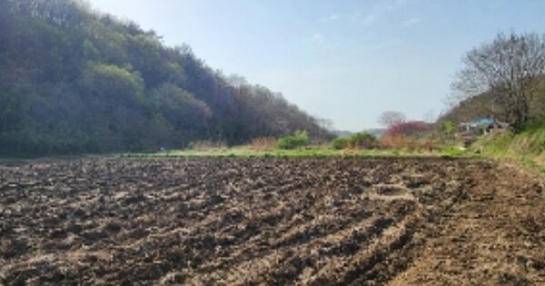 충청남도 서천군 장항읍 성주리 OO O OOO 답 경매 물건 이미지