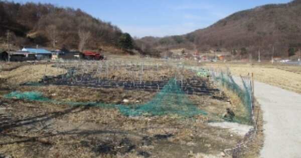 충청북도 청주시 상당구 낭성면 무성리 OOO 답 경매 물건 이미지