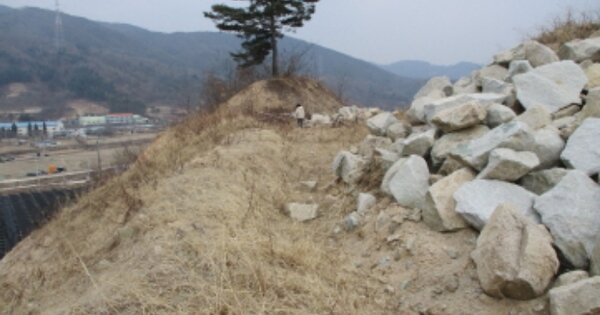 충청남도 금산군 군북면 동편리 OOOOO O OOO 전 경매 물건 이미지