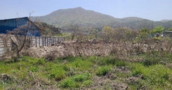 전라남도 나주시 노안면 영평리 OOO O OOO 대지 경매 물건 이미지