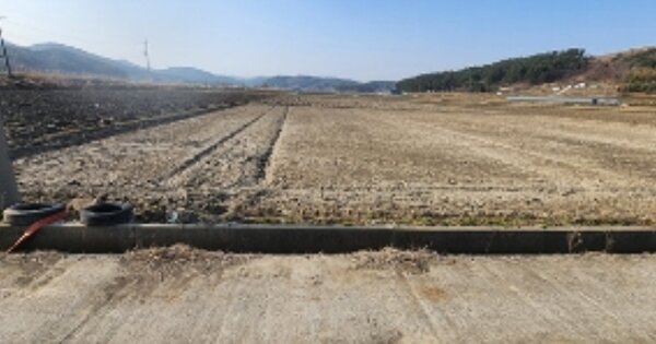 충청남도 서천군 시초면 봉선리 OOOOO 답 경매 물건 이미지