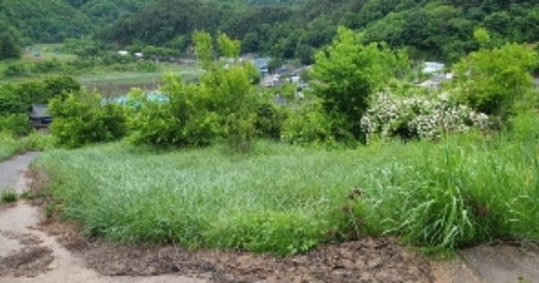 전라북도 장수군 계북면 월현리 OOO 전 경매 물건 이미지