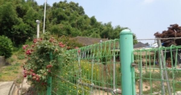 전라북도 김제시 백산면 상정리 OOOOO O OOO 전 경매 물건 이미지
