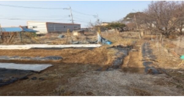 경기도 평택시 팽성읍 함정리 OOOOOO O OOO 근린시설 경매 물건 이미지