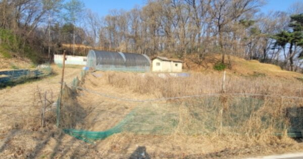 경기도 안성시 고삼면 봉산리 OOOOO O OOO 전 경매 물건 이미지
