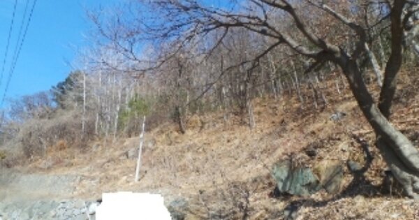 강원도 춘천시 남면 후동리 OOOOOO 임야 경매 물건 이미지