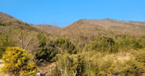 경상북도 칠곡군 북삼읍 숭오리 OOOO 임야 경매 물건 이미지