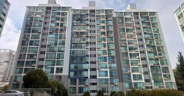 대전 서구 내동 220, 117동 OOOOOOOO OOOOOOOOOO O OOO 아파트 경매 물건 이미지