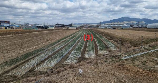 충청남도 천안시 서북구 입장면 신덕리 OO 답 경매 물건 이미지