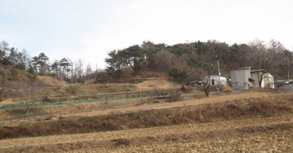 경상북도 상주시 화서면 지산리 OOOOO 임야 경매 물건 이미지