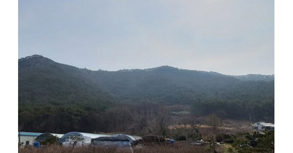 전라남도 영광군 백수읍 길용리 OOO 전 경매 물건 이미지
