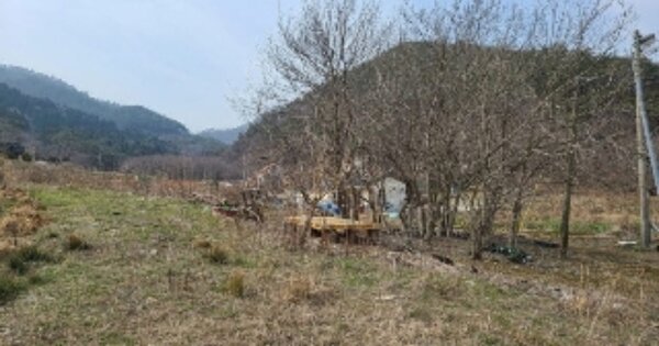 전라남도 영광군 백수읍 길용리 OOOOO 전 경매 물건 이미지