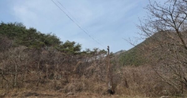 전라남도 영광군 백수읍 길용리 OOO 전 경매 물건 이미지