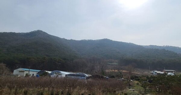 전라남도 영광군 백수읍 길용리 OOO 임야 경매 물건 이미지