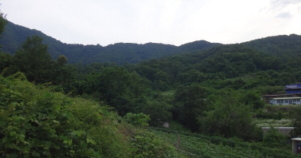 경상북도 고령군 우곡면 대곡리 OOO 전 경매 물건 이미지