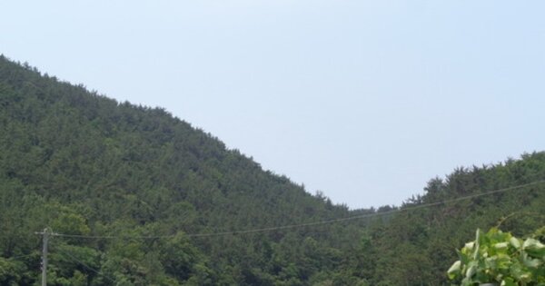 경상남도 창원시 마산합포구 구산면 난포리 OOOOOO 임야 경매 물건 이미지