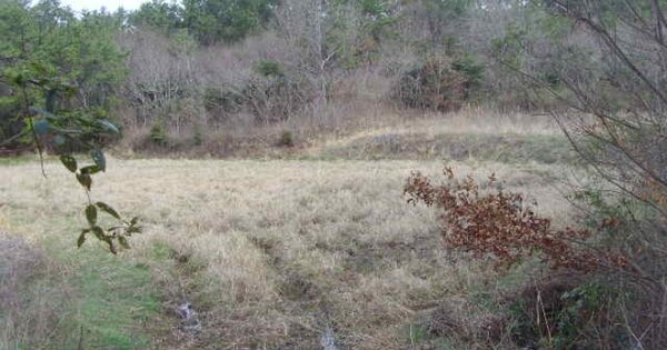 전라남도 해남군 송지면 마봉리 OOOOO O OOO 답 경매 물건 이미지